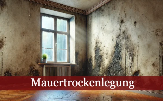 Mauertrockenlegung: schimmelnde Wände | Symbolbild