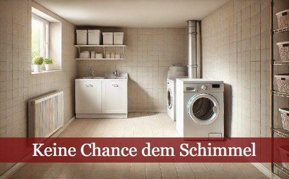 Keller trocken halten gegen Schimmel