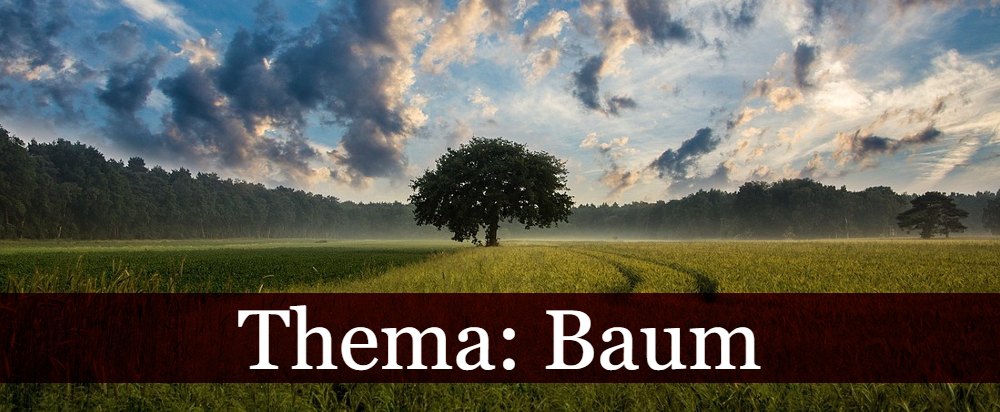 Thema: Baum