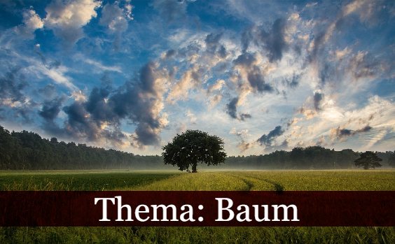 Thema: Baum
