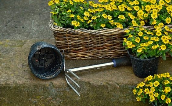 Gerät zum Pflanzen von Blumen