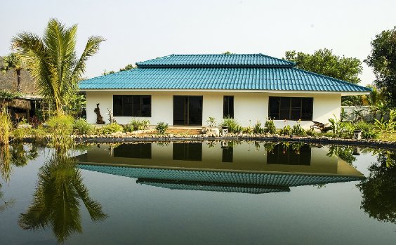 Warum Bungalow?