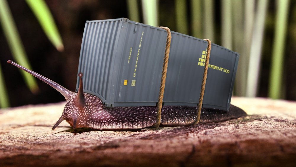 Schnecke trägt einen Container