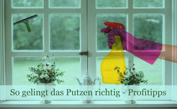 Fenster putzen Scheibe Sprüher