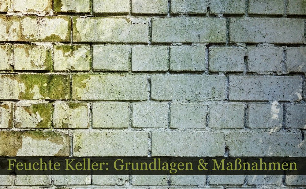 Feuchte Kellerwand