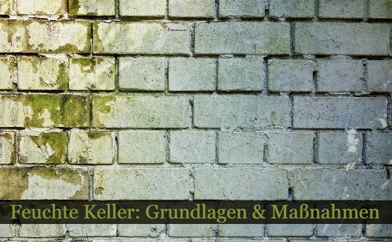 Feuchte Kellerwand