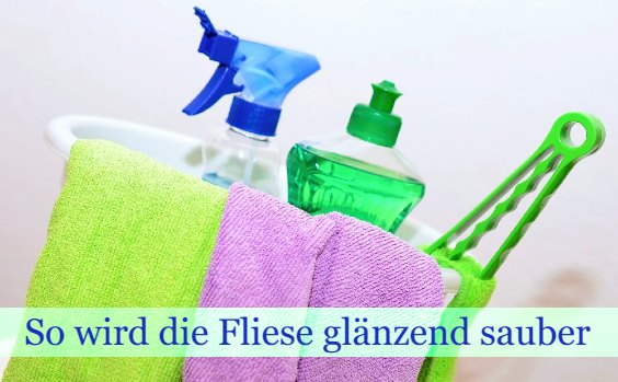 Fliesen Reinigungsmittel