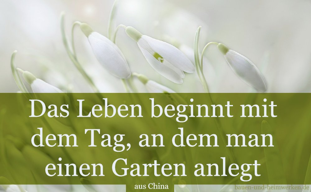 Grundlagen des Gärtnerns – Tipps für Anfänger