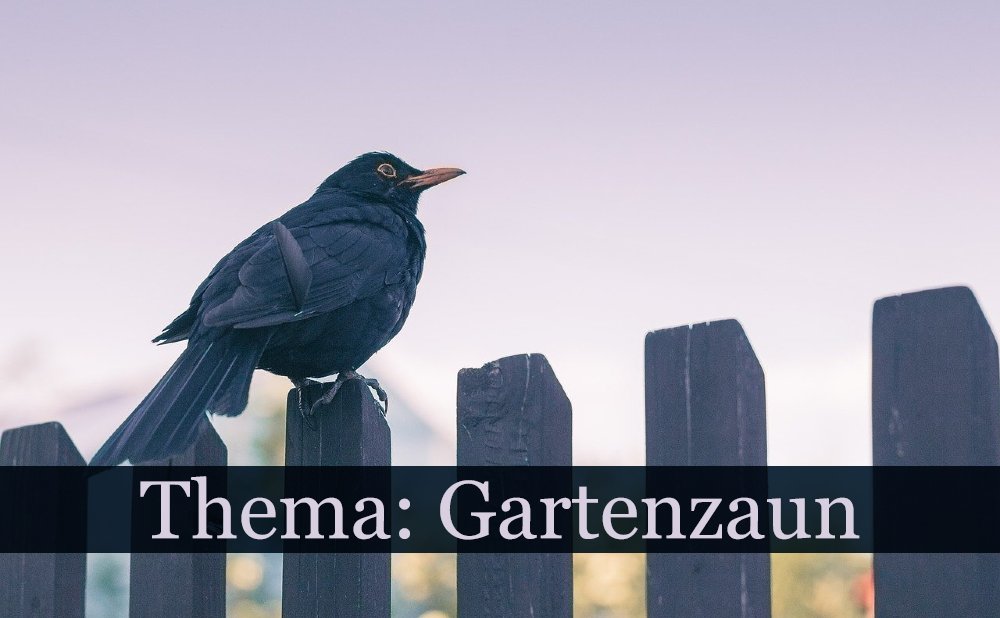 Gartenzaun
