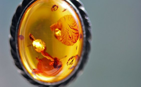 Bernsteinschmuck