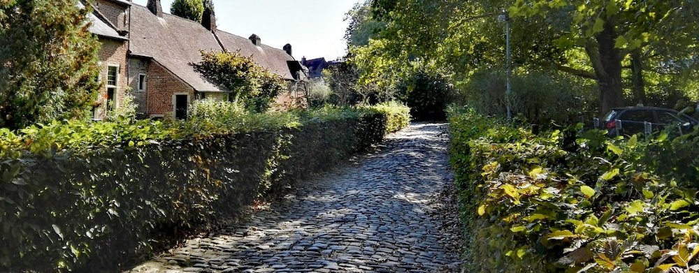 Hecke neben Kopfsteinpflaster