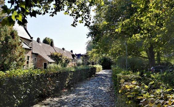 Hecke neben Kopfsteinpflaster