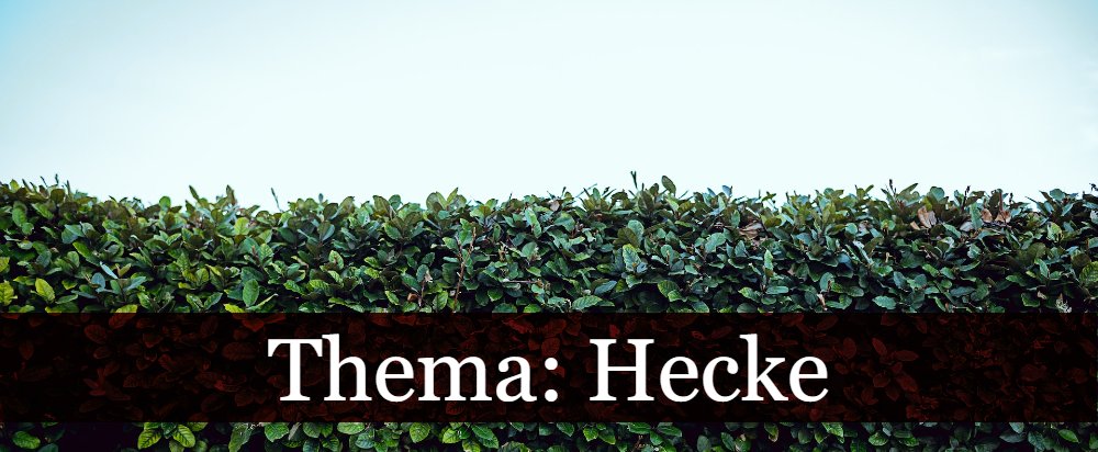 Thema: Hecke