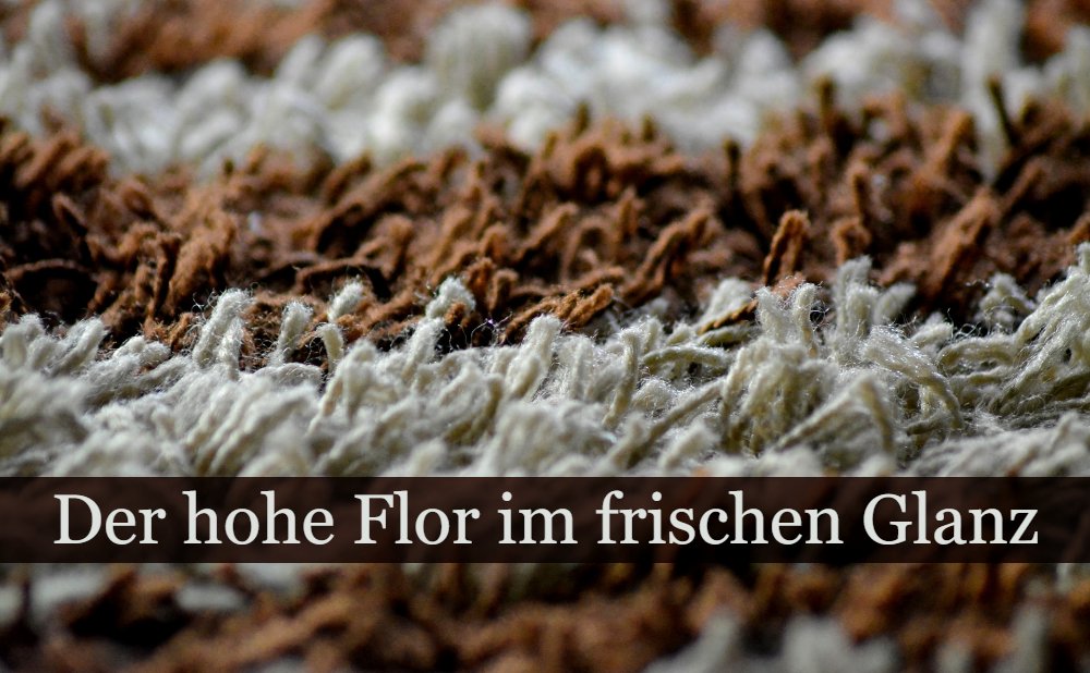 Hochflor Teppich