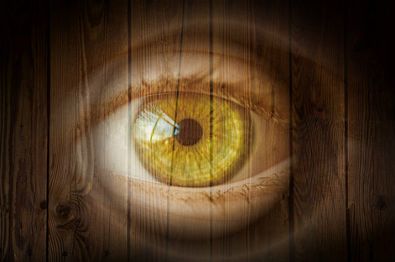 Holz Auge
