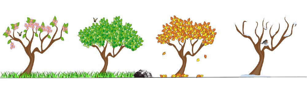 Gartenjahr planen