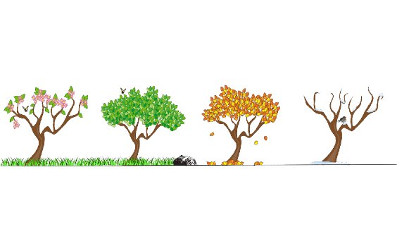 Gartenjahr planen