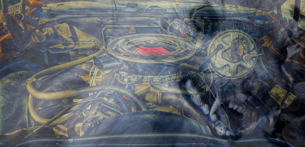 Marder im Motorraum