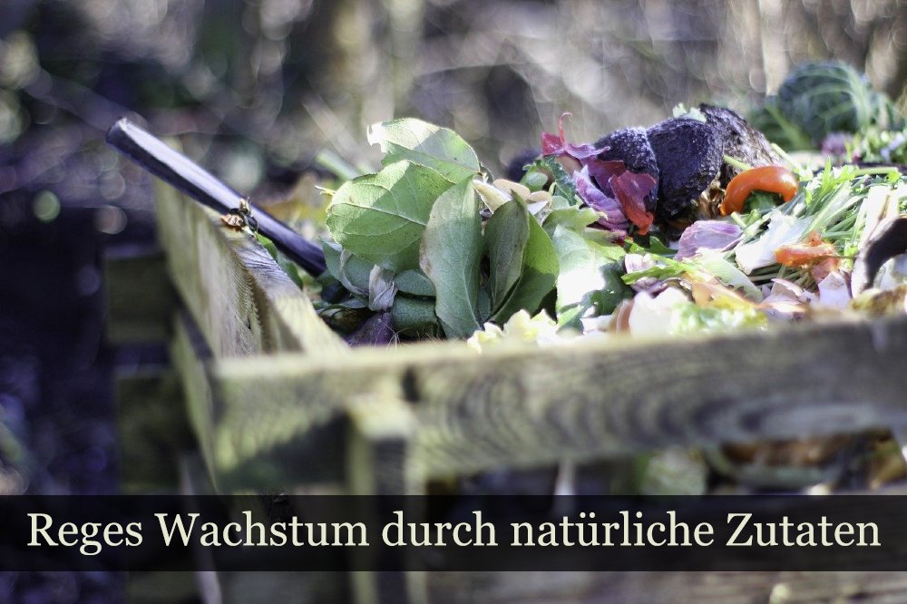 Natürlichen Dünger herstellen