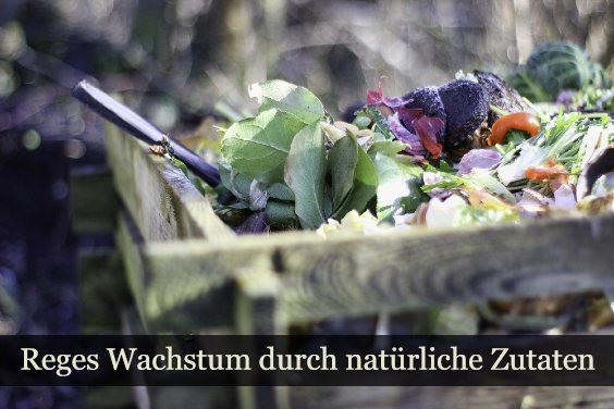 Natürlichen Dünger herstellen
