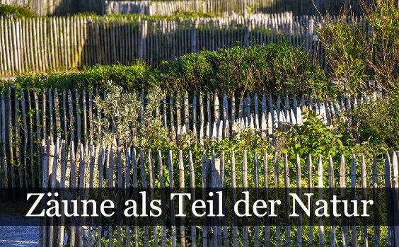 Natürlicher Gartenzaun