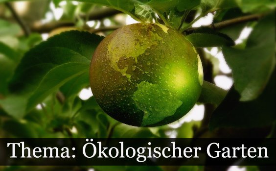 Ökologischer Garten