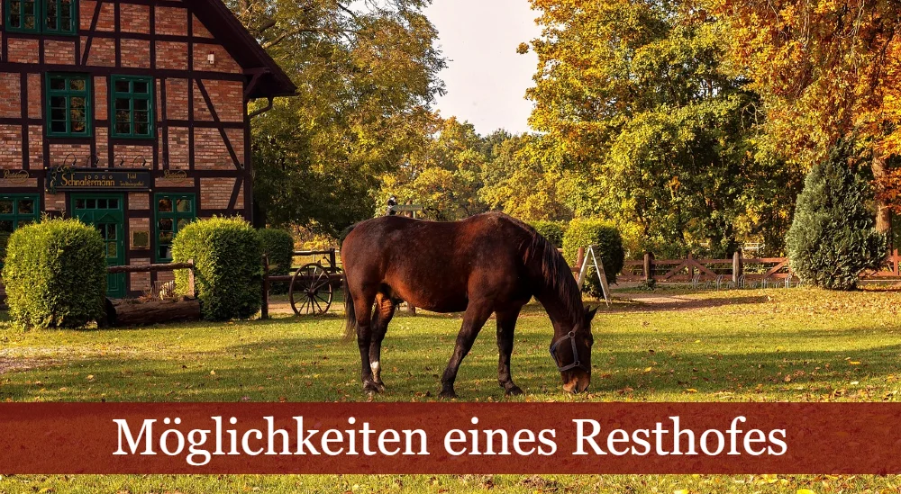 Pferd auf Weide vor Resthof