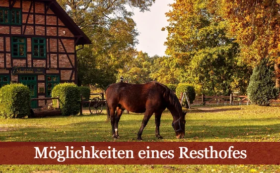 Pferd auf Weide vor Resthof