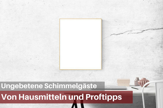 Schimmel Wand Hausmittel