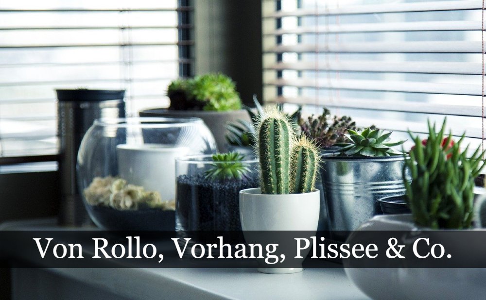 Sichtschutz beim Fenster