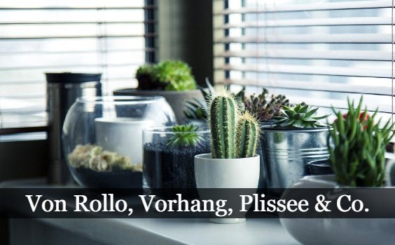 Sichtschutz beim Fenster