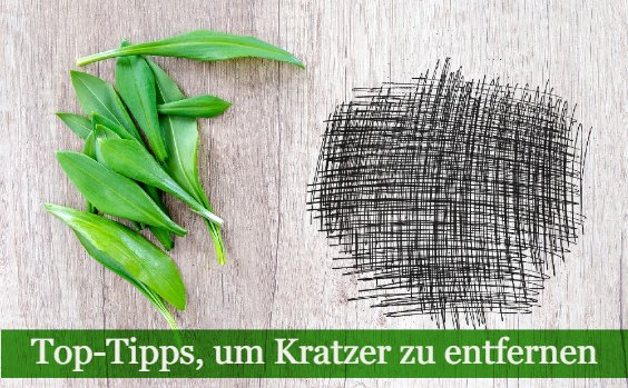 Tisch zerkratzt – was tun?