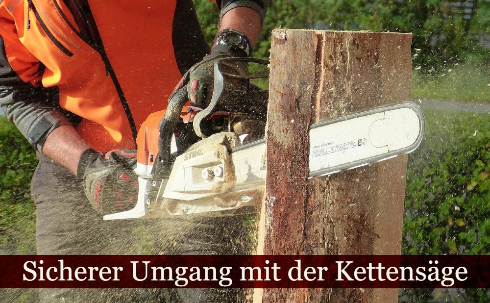 Umgang mit der Motorsäge