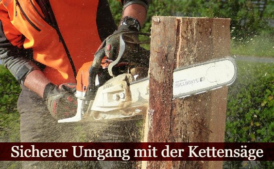 Umgang mit der Motorsäge
