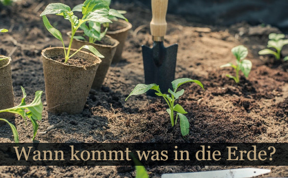 Wann Garten bepflanzen?