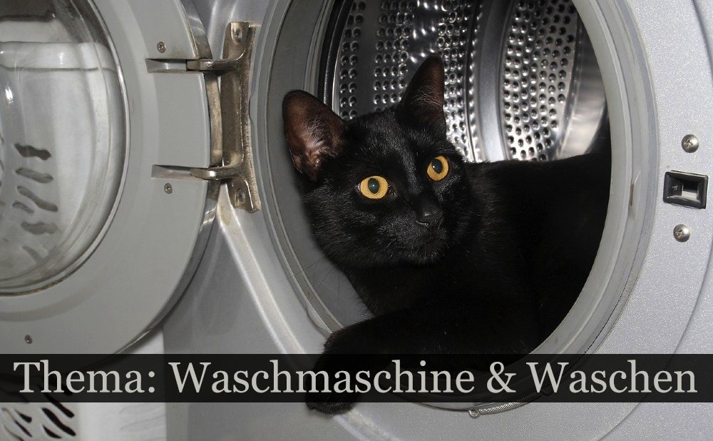 Waschmaschine mit Katze