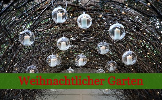 Weihnachten im Garten