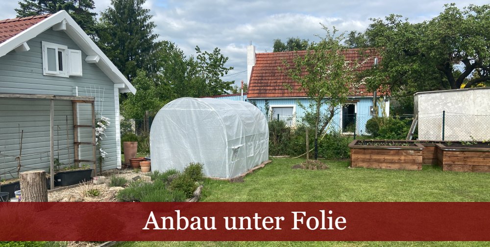 Folientunnel