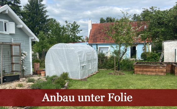 Folientunnel